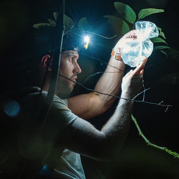 Image showing researcher Alejandro Arteaga holding a frog