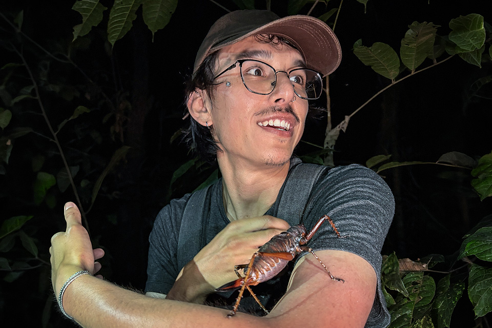 Cover photo of the project of Ángelo Ávila-Jiménez